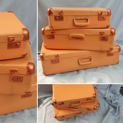 valizele zmeurei portocalii