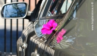 flower-car