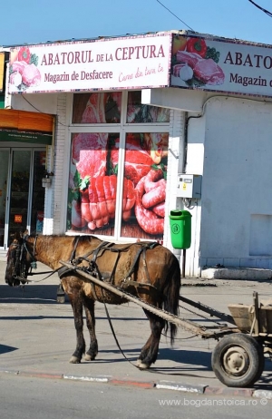 Naşpa moment...