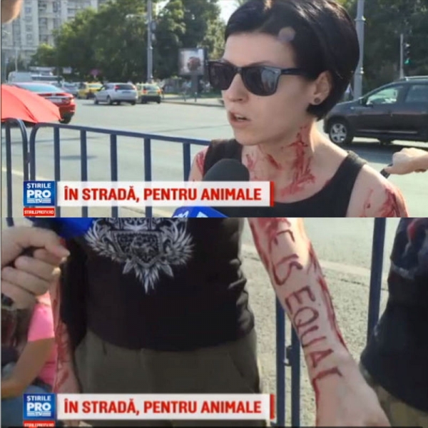 Scurt ghid de supraviețuire pentru activiștii-iubitori-cretini de animale